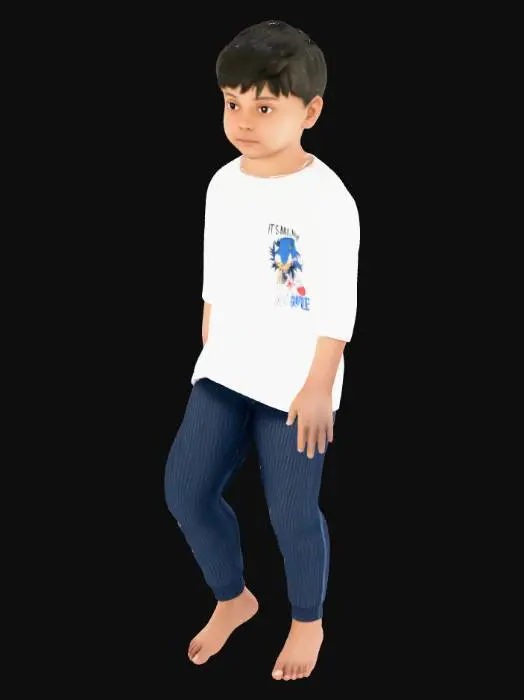 3D model for Sonic Fan