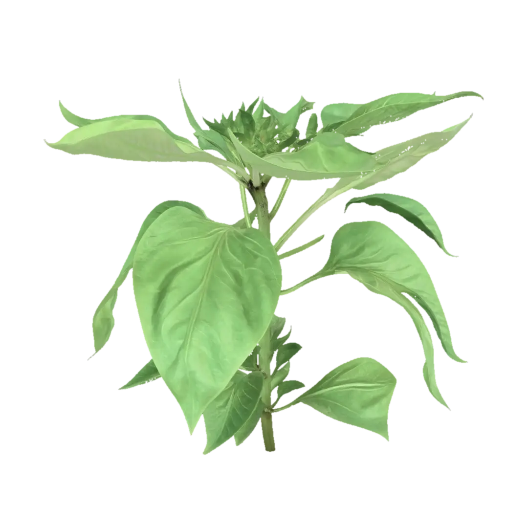 Pepper Plant - Stem 3D model, vytvořený pomocí AI