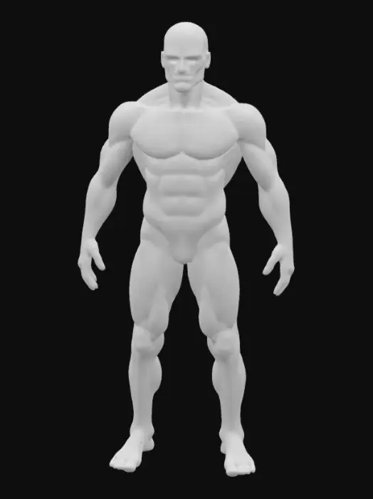 3D model for Human figure with an anatomically accurate shape, a colorful texture representing a thermal map of a human.