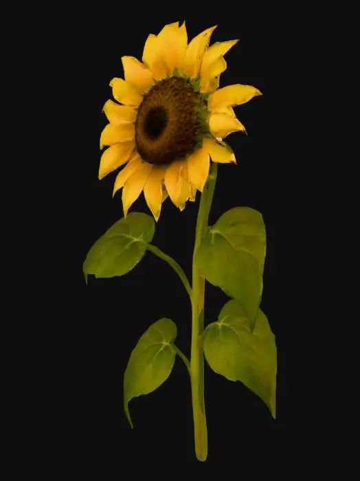 3D model for Sunshine Bloom