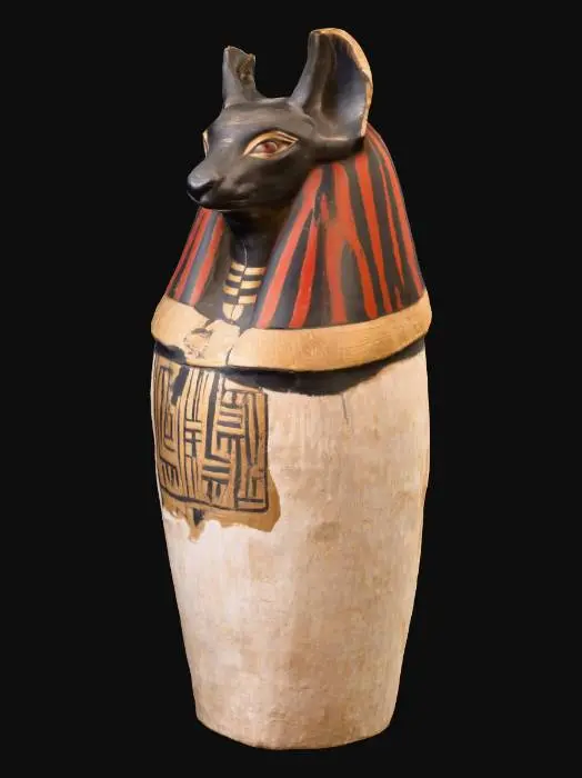 3D model for Anubis Canopic Jar