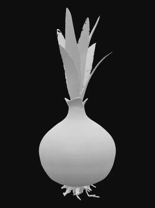 3D model for Sprouting Onion