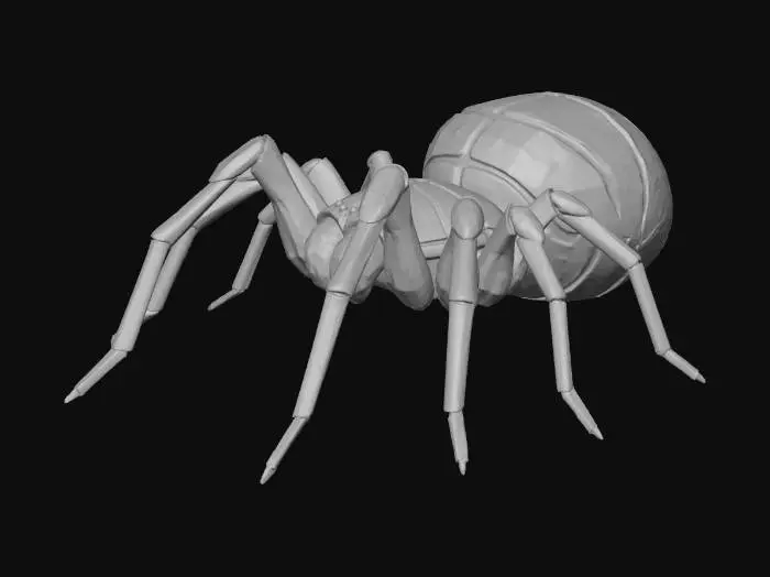 3D model for A HAIRLESS SUBTERANIUM SPECIES OF SPIDER WITH A SEGEMENTED CARAPIECE , , BODY SHAPE RESEMBLES A TARANTULA SPIDER. ALL ON A WHITE BACKGROUND
