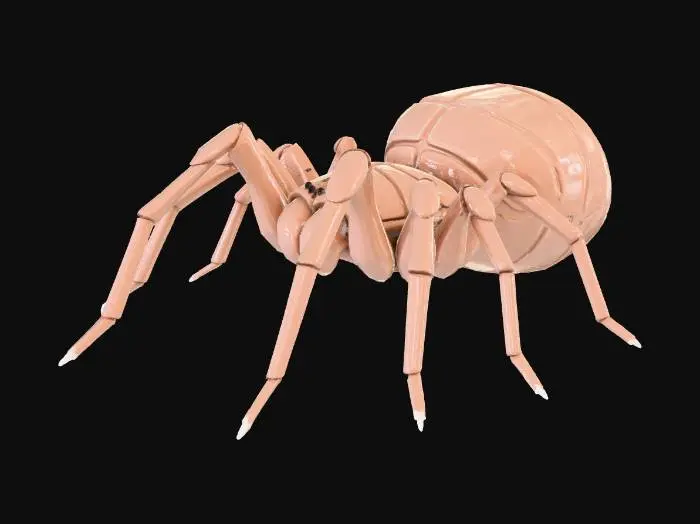 3D model for A HAIRLESS SUBTERANIUM SPECIES OF SPIDER WITH A SEGEMENTED CARAPIECE , , BODY SHAPE RESEMBLES A TARANTULA SPIDER. ALL ON A WHITE BACKGROUND