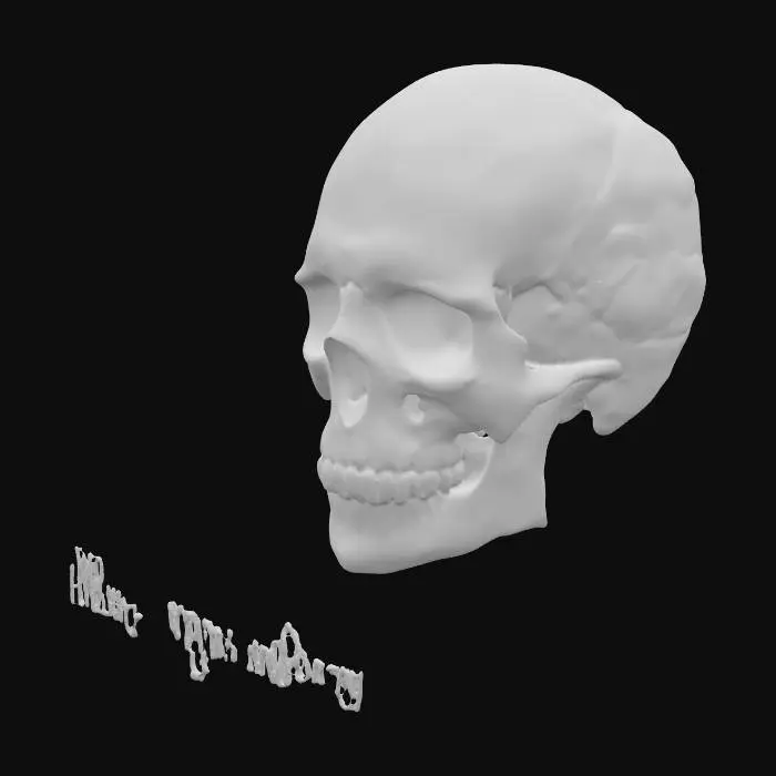 3D model for Mortality's Question