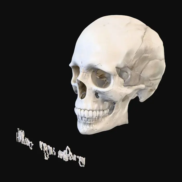 3D model for Mortality's Question