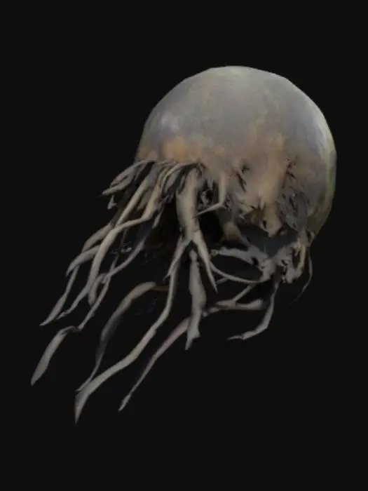 3D model for brethren moon