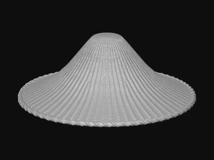 3D model for Floating Straw Hat