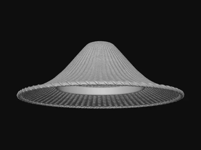 3D model for Floating Straw Hat