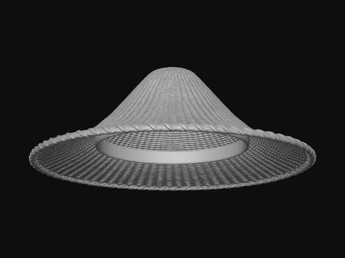 3D model for Floating Straw Hat