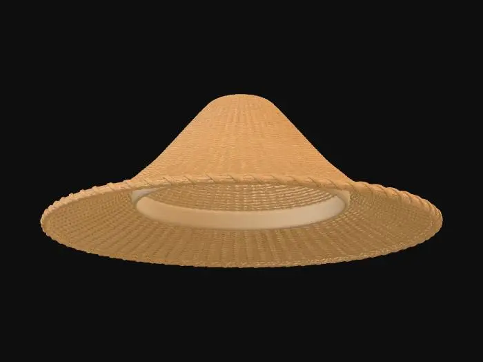 3D model for Floating Straw Hat