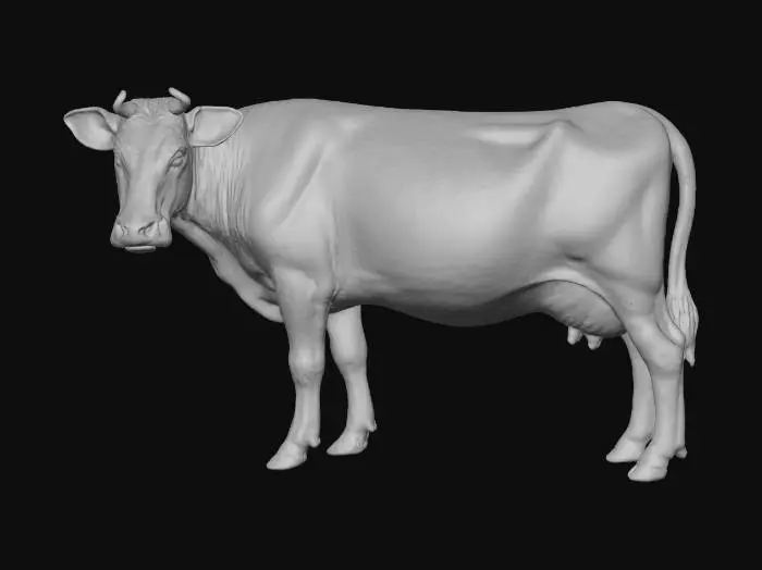 3D model for Bovine Portrait