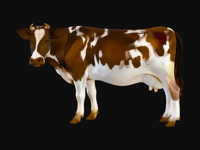 3D model for Bovine Portrait