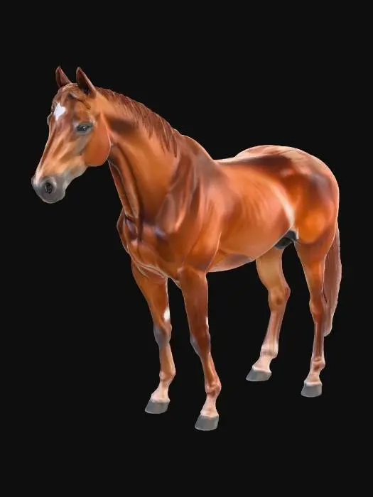 3D model for Chestnut Elegance