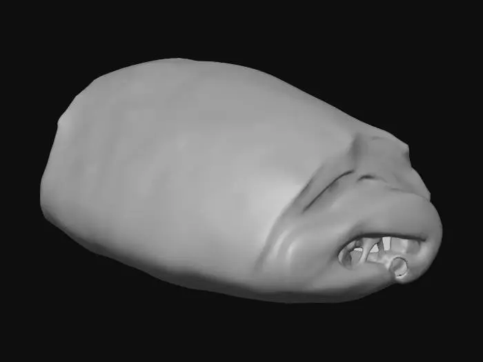 3D model for Pain au Chocolat
