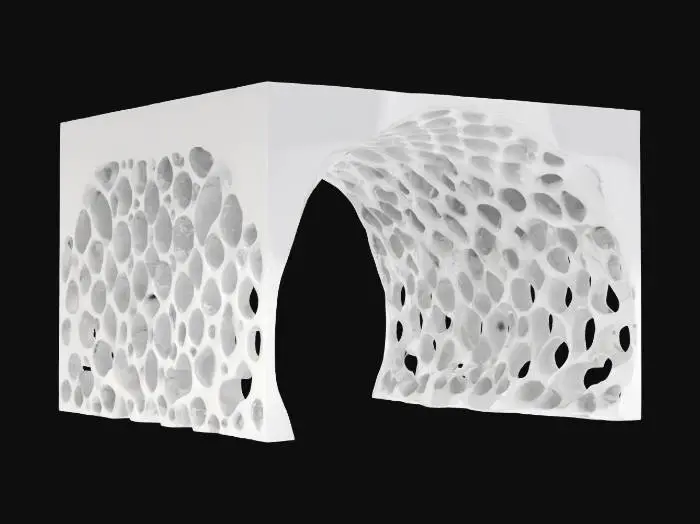 3D model for Subject: Parametric Voronoi lattice arch

Style: Futuristic organic parametric design

Material: Matte white ceramic structure with integrated LED modules

Details:

A single sweeping arch formed by interlocking Voronoi cells of varying sizes

Subtle beveled edges on each cell for a refined, high-poly look

Warm white LED backlighting embedded within select cells for depth

Smooth transitions between cells, emphasizing structural flow
, #arch#PBR Ceramic: Fine-grain matte ceramic with slight subsurface scatter

Emissive LEDs: Warm white glow with adjustable intensity and soft falloff

Surface Imperfections: Very light micro-roughness and faint dust accumulation in cell crevices