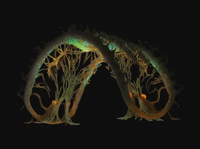 3D model for Object: Colossal bio-architectural archway organism
Material: Bioengineered chitin exoskeleton, mycelium-reinforced cores, photosynthetic glass membranes, vascular hydrogel veins
Shape/Form: 300-meter parabolic span with branching root-like pylons, ribbed vertebrae segments, dorsal respiration vents, tail-cantilever shading pods
Color Scheme: Jade-to-copper gradient outer skin, cyan bioluminescent vein network, sunset-amber membrane highlights
Texture Details: Semi-translucent living surface, subtle gloss, visible pulsing vascular channels, fibrous underside plates
Style: Biopunk realistic, high-poly organic megastructure
Reference Models: Gaudí-inspired flowing masonry, Avatar-style mega-flora, Grimshaw Eden Project biomes, #arch#