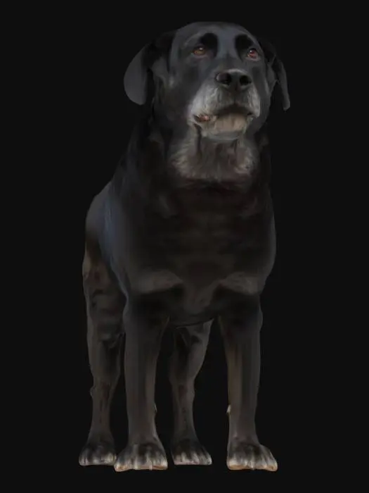 3D model for Bentley