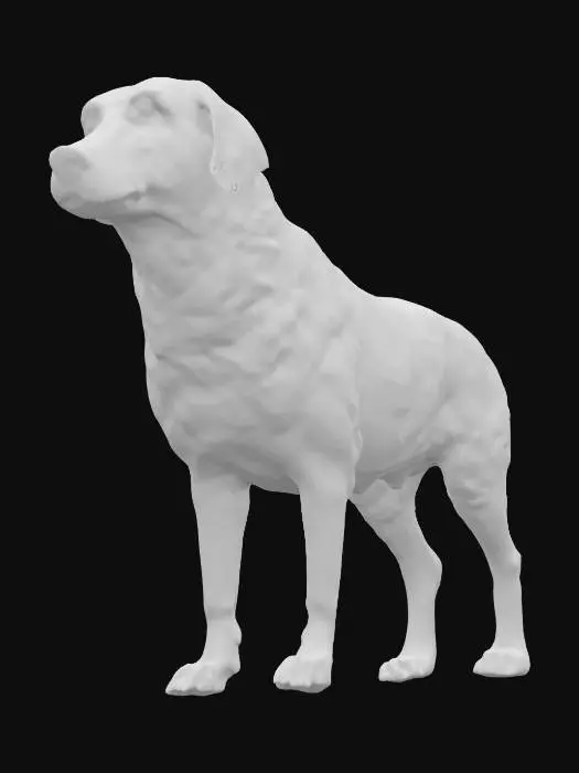 3D model for My dog Benz