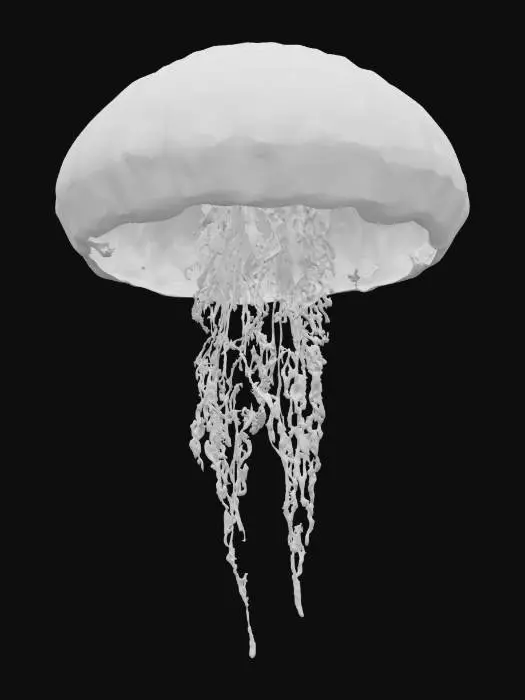 3D model for {
  "Object": "Digital Jellyfish Virus",
  "Material": "Translucent bioluminescent membrane interwoven with pixelated, glitchy circuit traces",
  "Shape/Form": "Organic jellyfish silhouette with tangled, glitch-art tendrils",
  "Color Scheme": "Neon green and dark teal base with pulsing red warning highlights",
  "Texture Details": "Subsurface scattering, fine circuit-line embossing, water droplet shader, subtle noise/glitch artifacts",
  "Style": "Realistic PBR infused with digital glitch aesthetics",
  "Environment/Use Context": "Drifting through a deep-sea coral reef, with floating data-packet debris and faint sonar pulses",
  "Reference Models": [
    "Chrysaora fuscescens jellyfish",
    "Trojan virus icon outline",
    "Abstract glitch art primitives"
  ]
}
, #ocean#