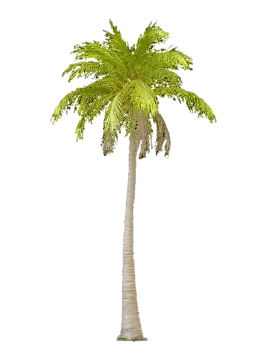3D-модель Palm Tree - Foliage, згенерована ШІ