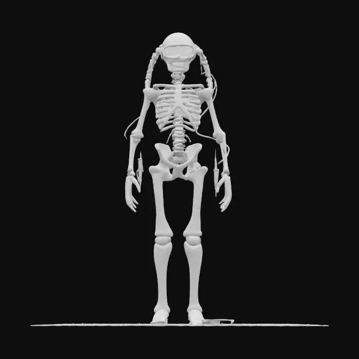 3D model for Object: Combat Healer — “SABRA STITCH, The Blood Hacker”
Material: Surgical steel plating, IV bag holsters, chrome tubing, neural gel patches, duct-taped defibrillator coils
Shape/Form: Tall, skeletal silhouette; one exposed cybernetic ribcage; six syringe-launching spine tendrils; clear medical visor; hip-slung medicine-case cannon

Color Scheme: Bone white jumpsuit with red and teal surgical accents, pulsing green lights in tubing, red-cross markings stenciled like graffiti
Texture Details: Smudged sterile surfaces, medical grime, holographic heartbeat pulse on chest; comic line shadows under every fold
Style: Cartoon (Borderlands cel-shaded with horror-clinic overtones)
Reference Models: Borderlands’ Zane meets Silent Hill’s nurse, with a splash of Apex's Lifeline