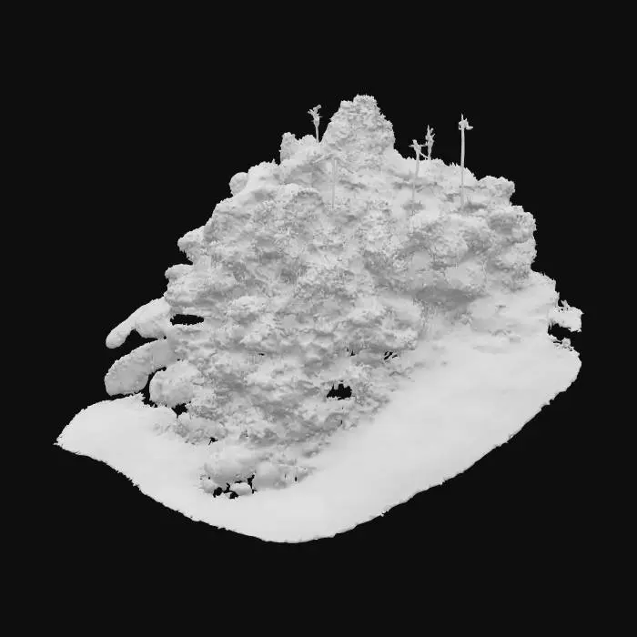 3D model for Island Oasis