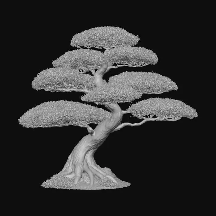 3D model for Bonsai