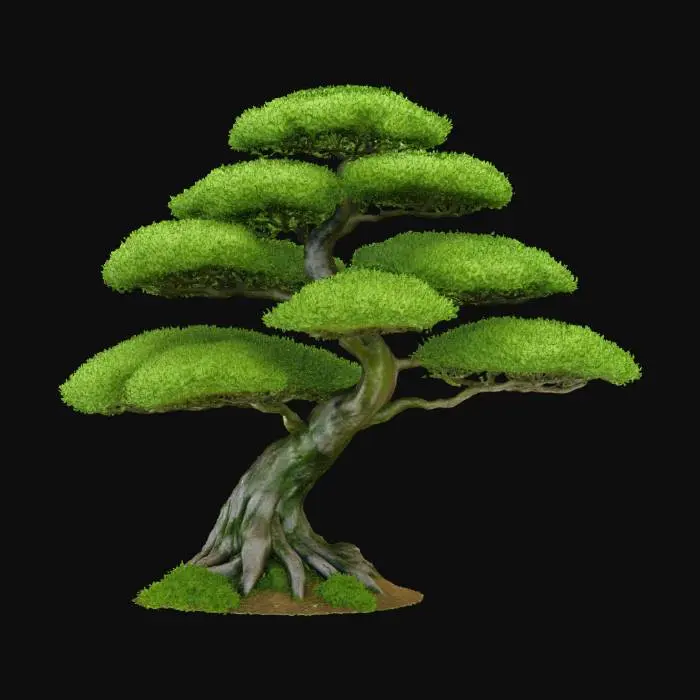 3D model for Bonsai