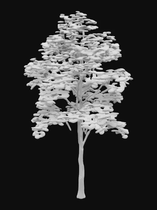 3D model for a birch tree