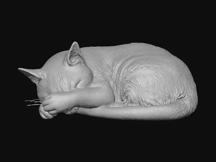 3D model for a photorealistic model of a Siamese cat lying down, appearing to hide under its front paws, as if shielding its eyes or face, natural and endearing pose, realistic fur texture, lifelike anatomy, soft studio lighting, extremely high detaile, DSLR-quality image, isolated on a seamless pure white background for easy cutout