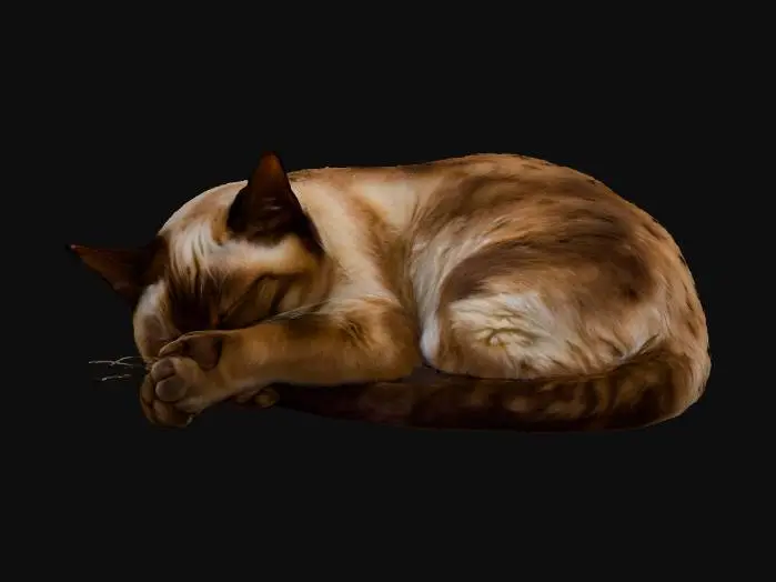 3D model for a photorealistic model of a Siamese cat lying down, appearing to hide under its front paws, as if shielding its eyes or face, natural and endearing pose, realistic fur texture, lifelike anatomy, soft studio lighting, extremely high detaile, DSLR-quality image, isolated on a seamless pure white background for easy cutout