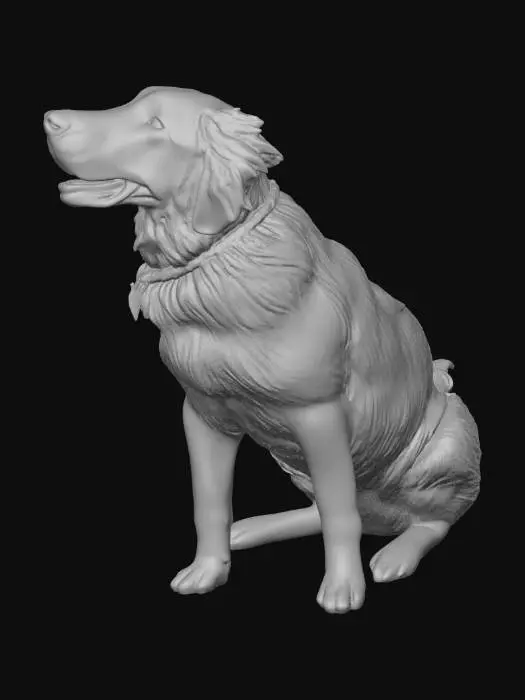 3D model for Finnegan Dog March 2011