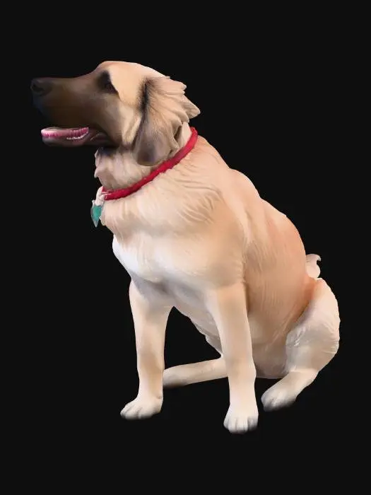 3D model for Finnegan Dog March 2011