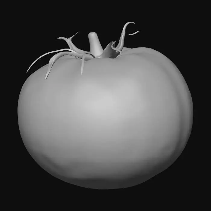 3D model for Tomato Perfection
