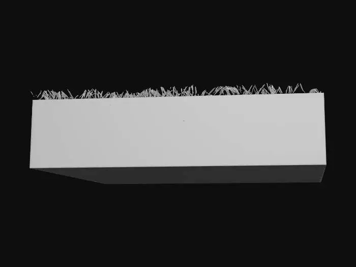 3D model for Grassland Patch