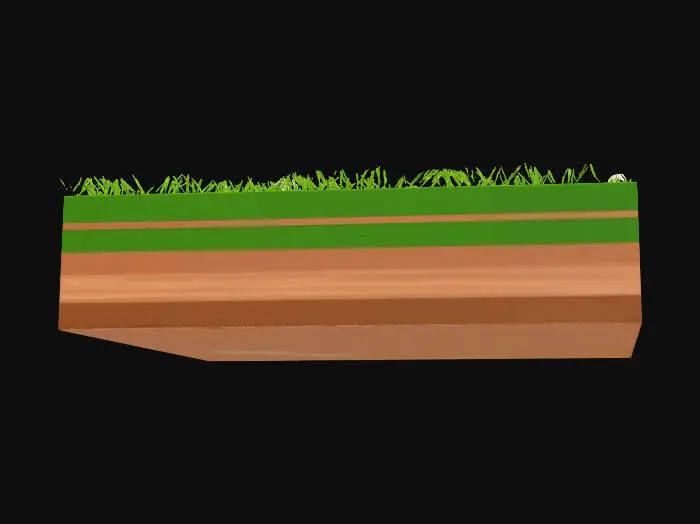 3D model for Grassland Patch