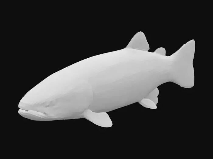 3D model for Rainbow Beauty