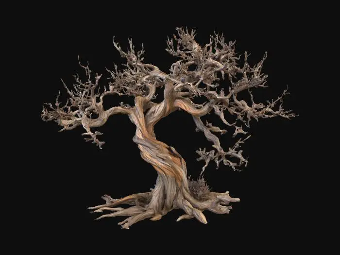 3D model for Eternal Elegance