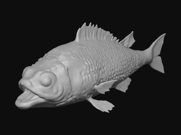 3D model for decaying fish
