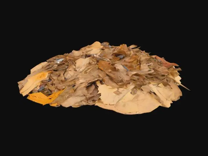 3D model for Several small piles of dead leaves, tiny stones and twigs