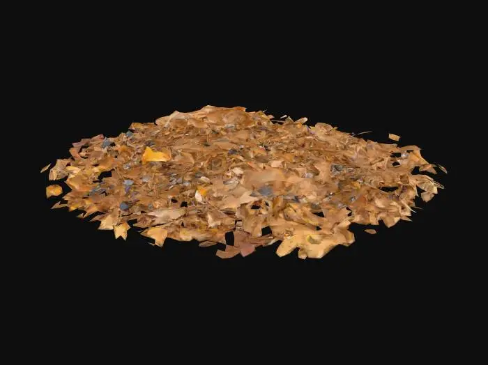 3D model for Several small piles of dead leaves, tiny stones and twigs