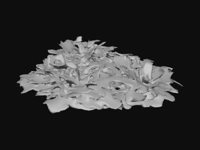 3D model for Several small piles of dead leaves, tiny stones and twigs