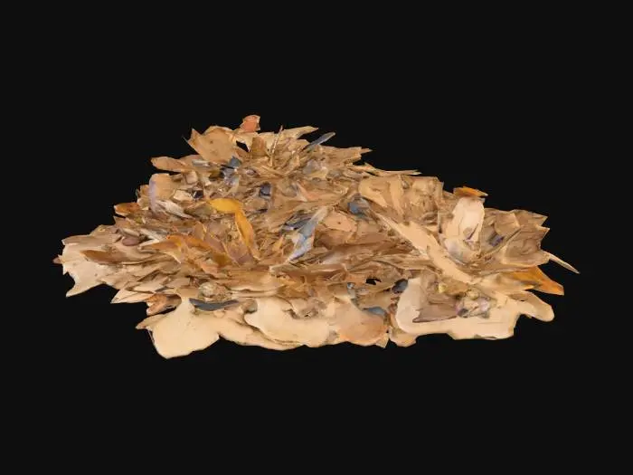 3D model for Several small piles of dead leaves, tiny stones and twigs