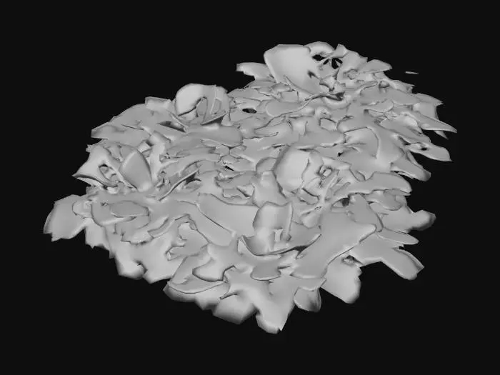3D model for Several small piles of dead leaves, tiny stones and twigs