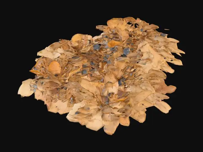 3D model for Several small piles of dead leaves, tiny stones and twigs