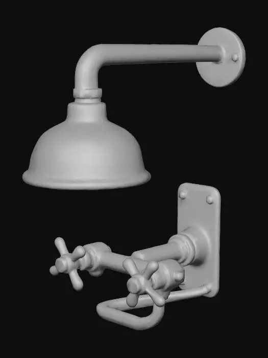 3D model for Rustic Shower Fixture