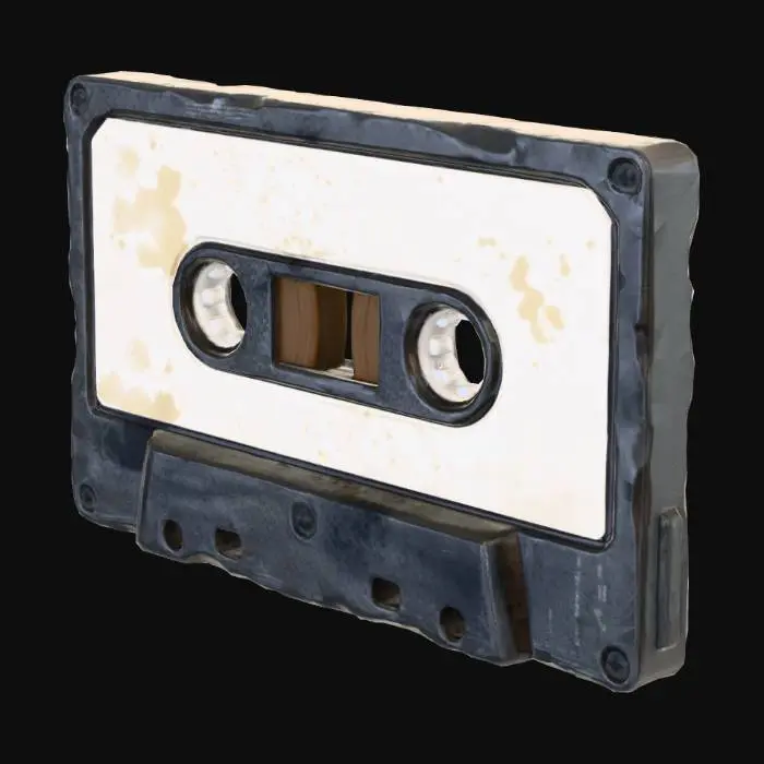 3D model for Cassette
