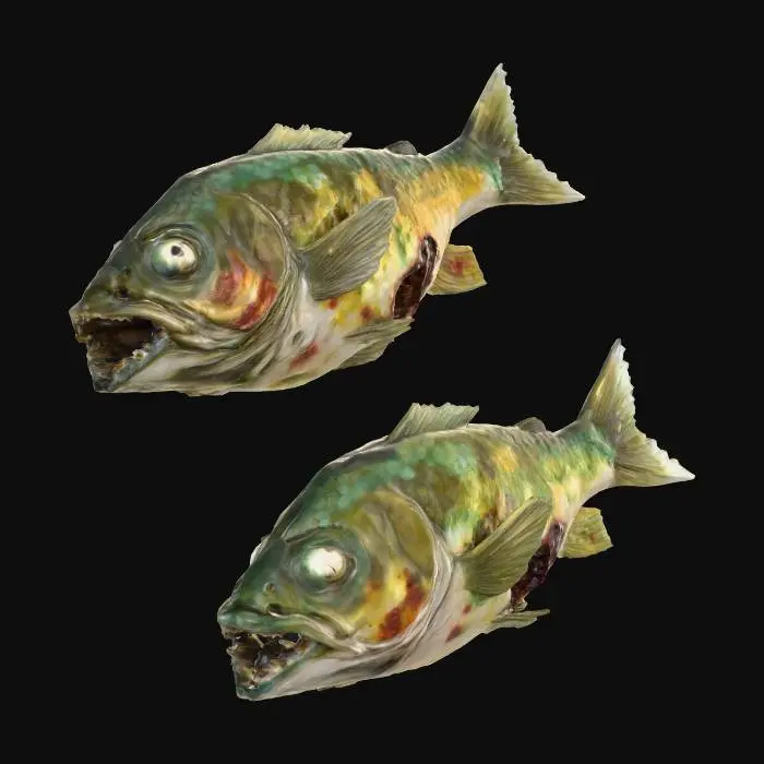 3D model for Zombie Fish Duo