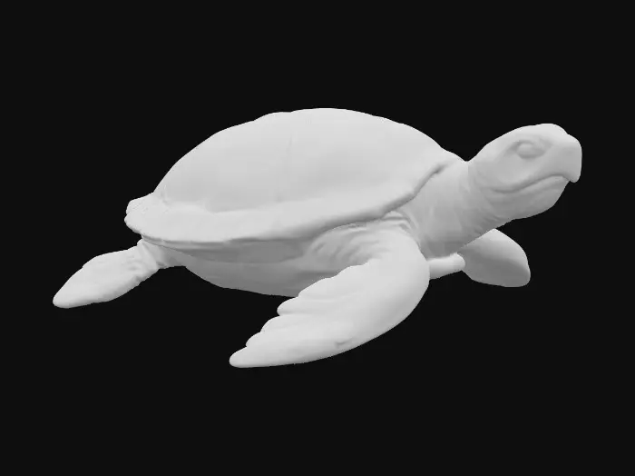 3D model for Prismatic Turtle